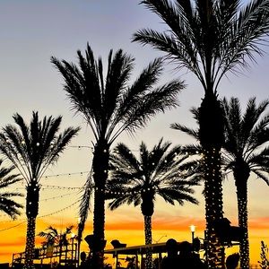 Meet your Posher, Sigal